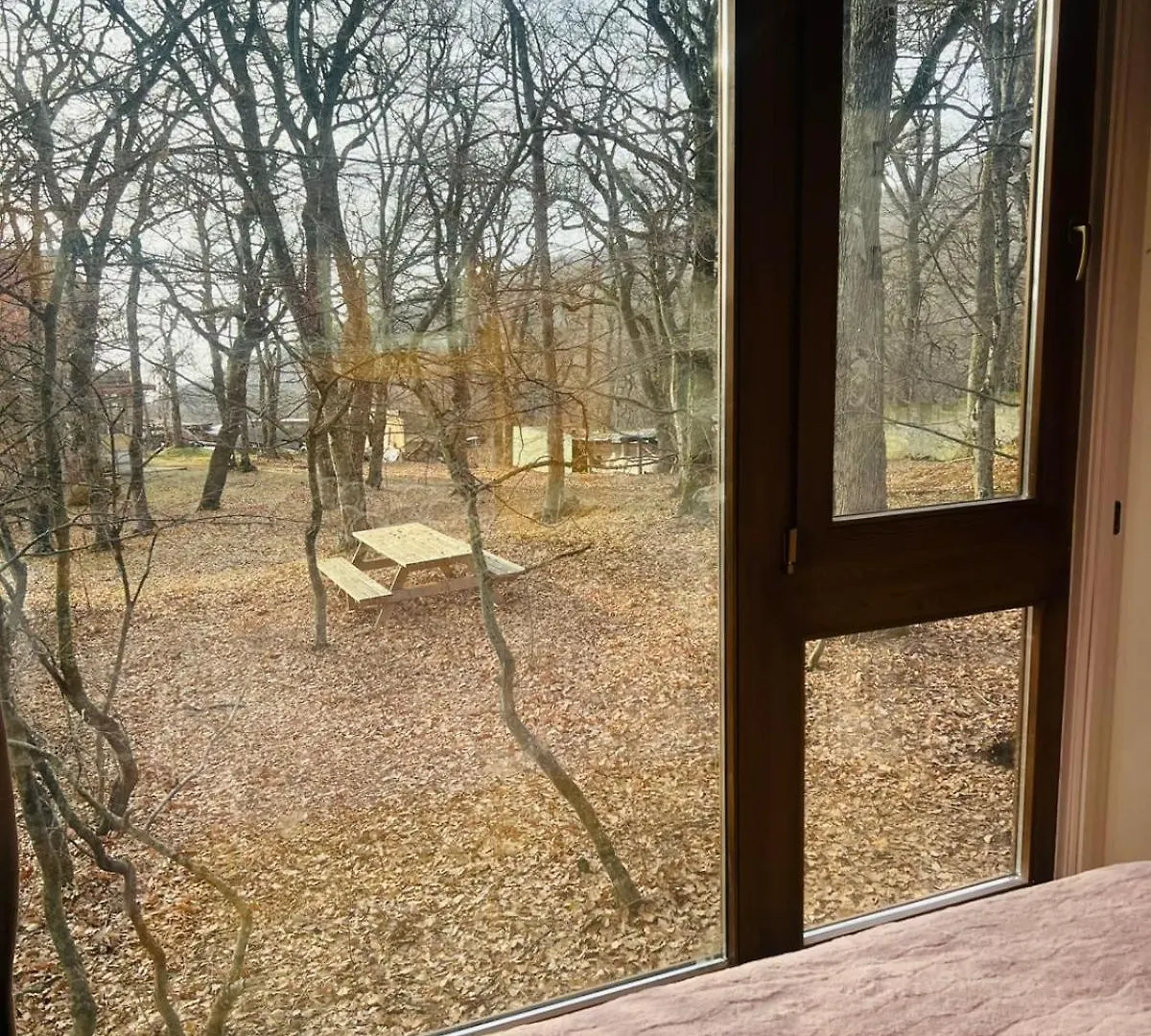 Nina'S Winery Forest House In Kiketi 트빌리시 0*,