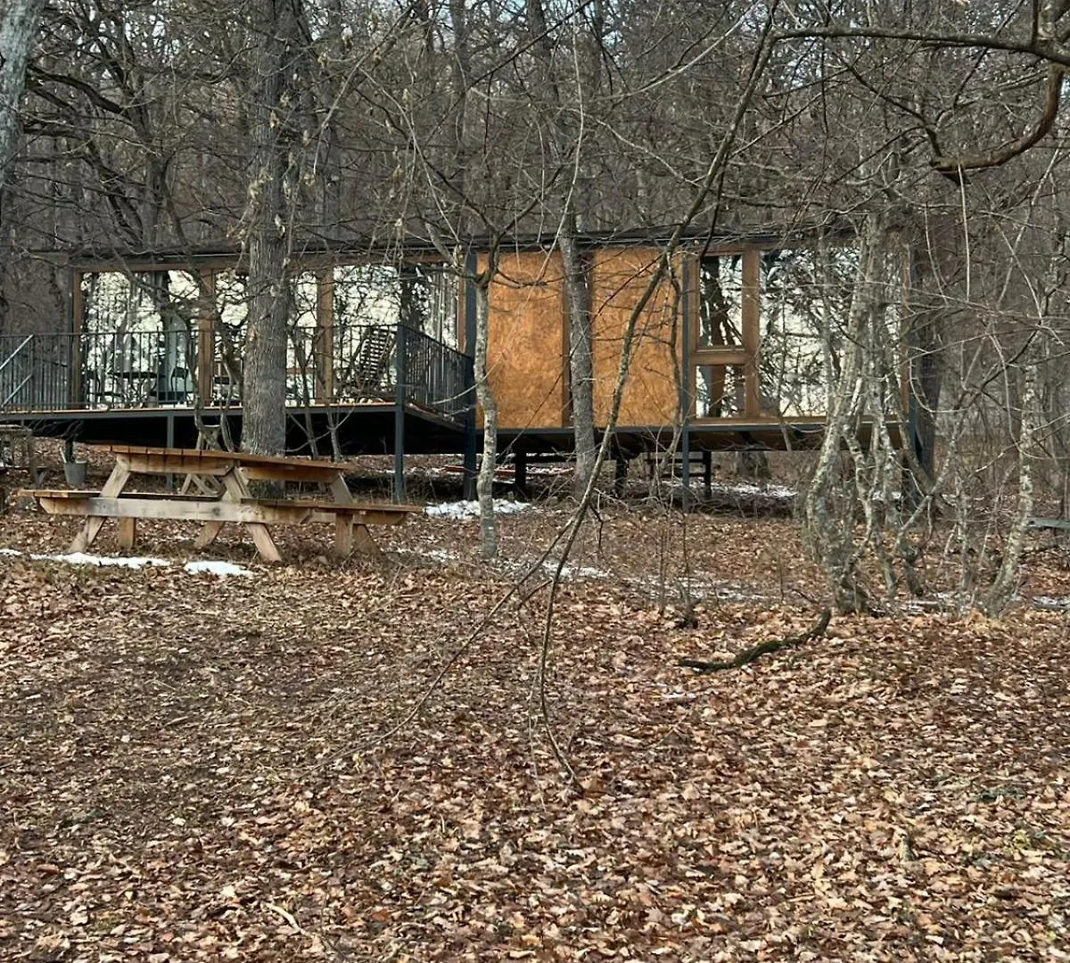 Nina'S Winery Forest House In Kiketi 트빌리시 조지아