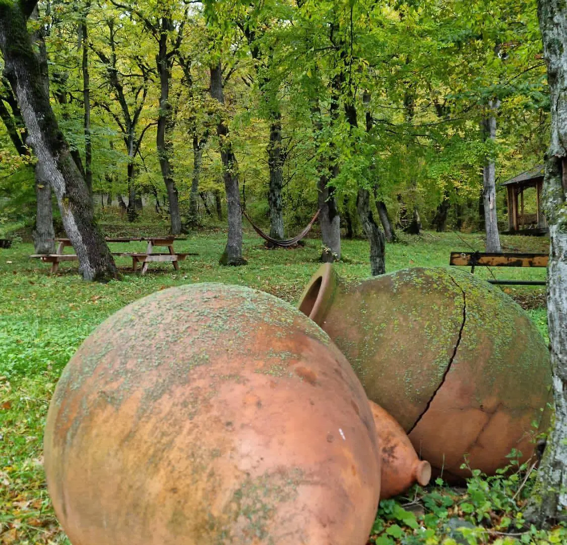 Nina'S Winery Forest House In Kiketi 트빌리시 펜션